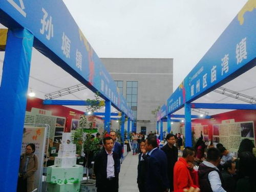 扶贫产品交流会暨文化艺术展演即将盛大启幕，千余种特色产品汇聚一堂